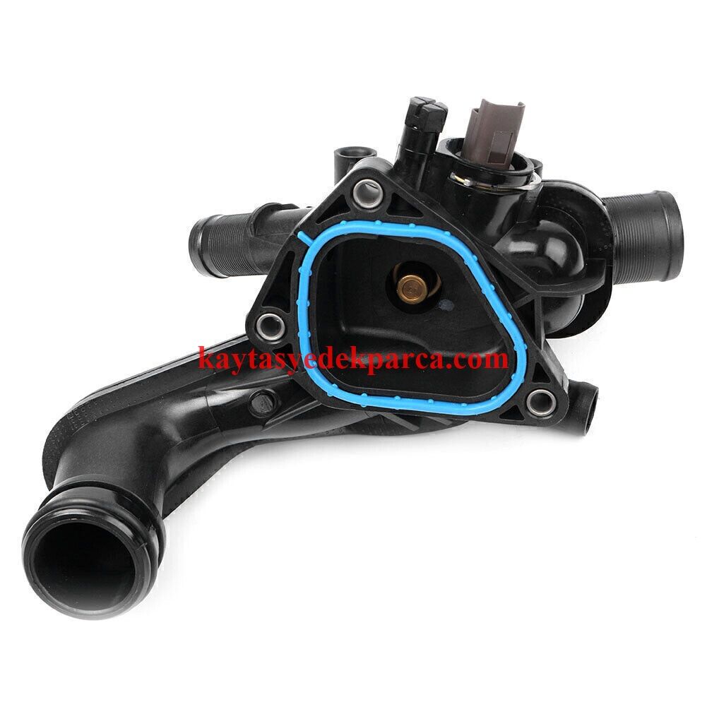 11537534521-7534521-MML-ALMA ARZAILIII