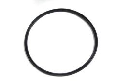 BSH-16146765825-BENZİN ŞAMANDIRASI E60/L