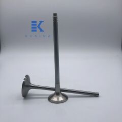 TTK-11347598273-SİBOP EKSOZ N20/N26 EMME TK.